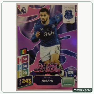 کارت Iliman Ndiaye – Everton | YM-0030