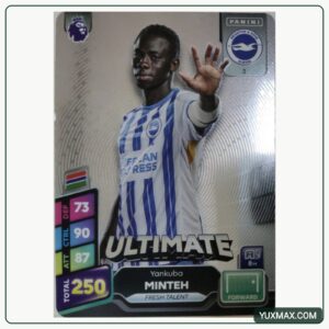 کارت Yankuba Minteh – Brighton | YM-0007